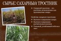 Куба 1 песо 1981 год - Всемирный День Продовольствия. Сахарный тростник