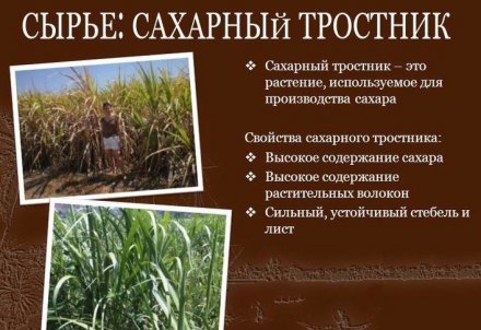 Куба 1 песо 1981 год - Всемирный День Продовольствия. Сахарный тростник