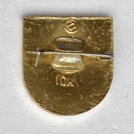 Значок. Водное поло (тип 1)