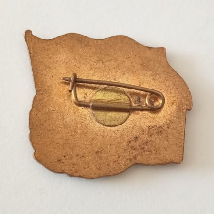 Знак 20 лет СКР &quot;Ст. л-т Владимиров&quot;