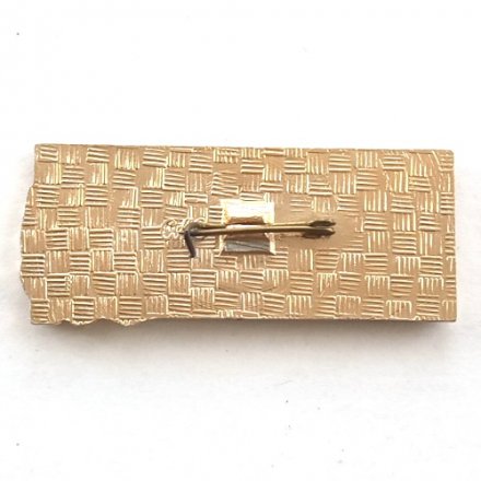 Значок Объединенный институт ядерных исследований. 25 лет. Дубна 1981