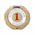 Знак «1-й юношеский разряд»