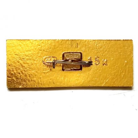 Значок Царицыно XVII-XVIII