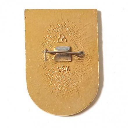 Значок Интеркосмос. СССР-ЧССР