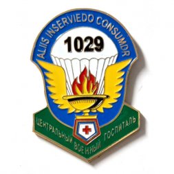Знак 1029 центральный военный госпиталь ВДВ