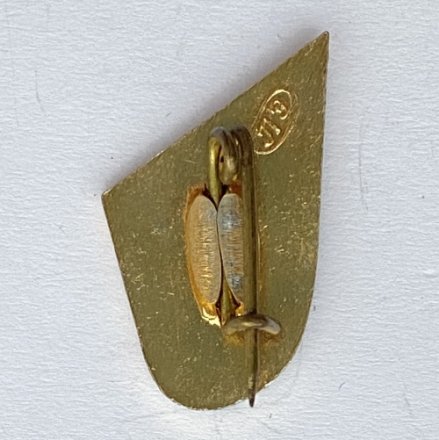 Значок. Водное поло (тип 2)