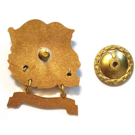 Знак Участник парада. Кронштадт. БДК &quot;Петр Моргунов&quot;