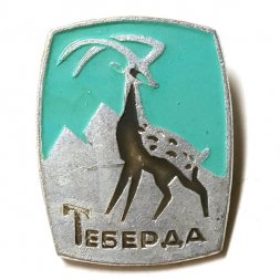 Значок Теберда