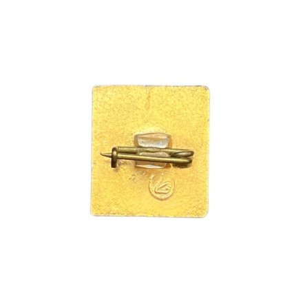 Значок Баскетбол (тип 6)