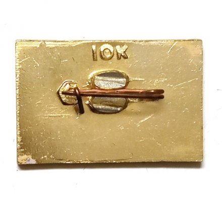 Значок Горки. Московская область. Большой дом