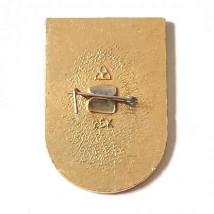 Значок Интеркосмос. СССР-ГДР