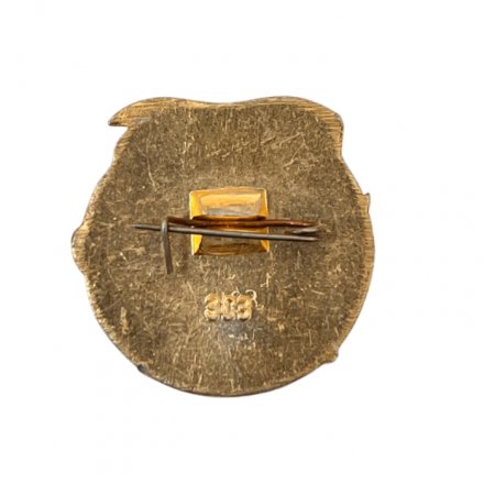 Значок. Плавтурбаза МО СССР Нептун Военный туризм