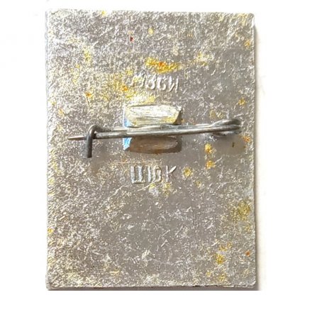 Значок Боголюбово. МЗСИ