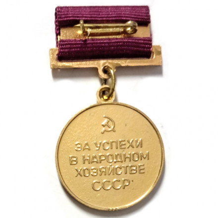 Медаль СССР ВДНХ (Выставка достижений народного хозяйства). За успехи в народном хозяйстве, булавка