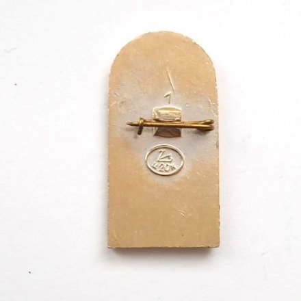 Значок Интеркосмос СССР - Чехословакия (ЧССР)