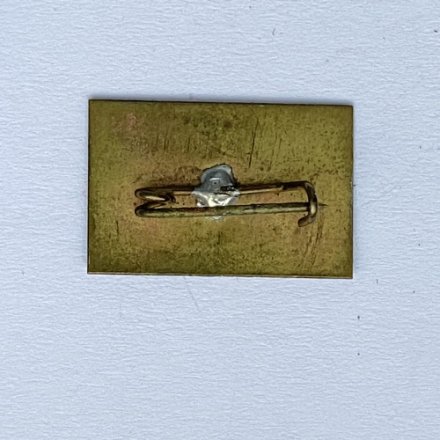 Значок. ФК Буковины. Украина Черновцы