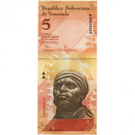 Венесуэла 5 боливар 2009 год - Педро Камеджо. Гигантский броненосец UNC
