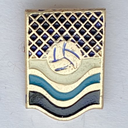 Значок. Водное поло (тип 4)