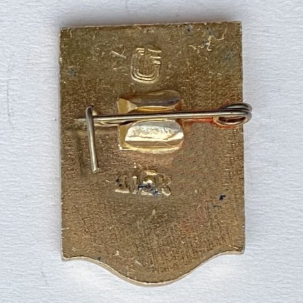 Значок. Водное поло (тип 4)