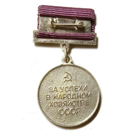 Медаль СССР ВДНХ (Выставка достижений народного хозяйства). За успехи в народном хозяйстве, серебристая