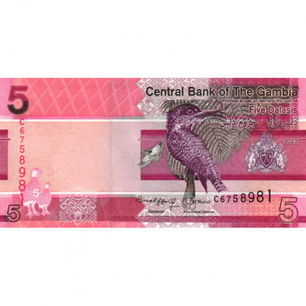 Гамбия 5 даласи 2023 год - Гигантский пегий зимородок UNC