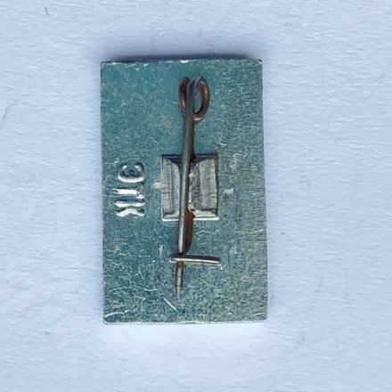 Значок. Спортивный клуб Квант