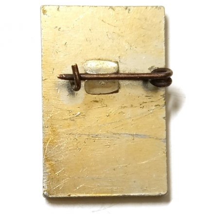 Значок. Футбол. Динамо Киев 1967 Чемпион СССР