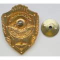Знак отличник ВВС. Россия