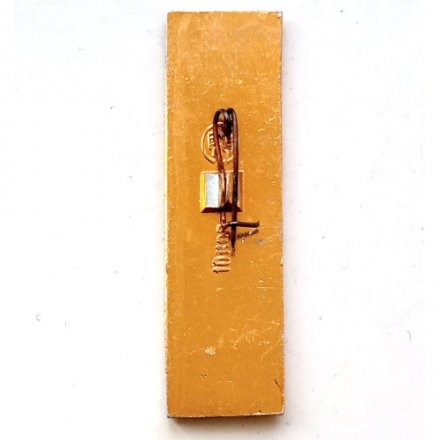 Значок Новгород. Телебашня, булавка