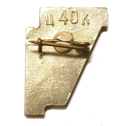 Значок Пансионат &quot;Зеленый бор&quot;. Ленинградская область