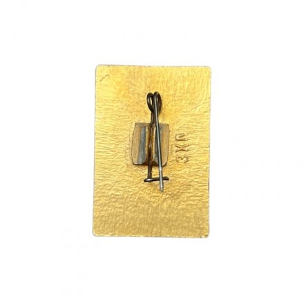 Значок Олимпиада 1964. Токио. Гимнастика