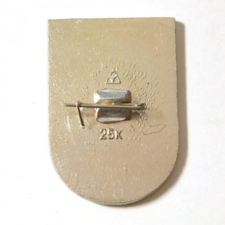 Значок Интеркосмос. СССР-ПНР