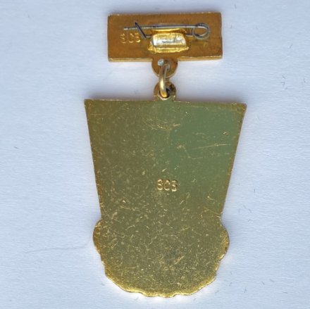 Значок. Старты ГТО. Краснодар. 3 место 