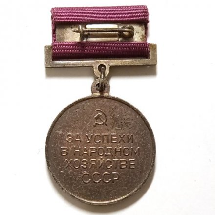 Знак За успехи в народном хозяйстве, ВДНХ