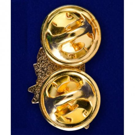 Значок ПВ СССР