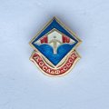 Значок. ДОСААФ. СССР. Дельтаплан 