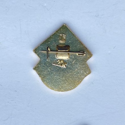 Значок. ДОСААФ. СССР. Дельтаплан 