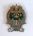 Нагрудный знак РАНХиГС
