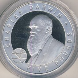 Джерси 5 фунтов 2006 год