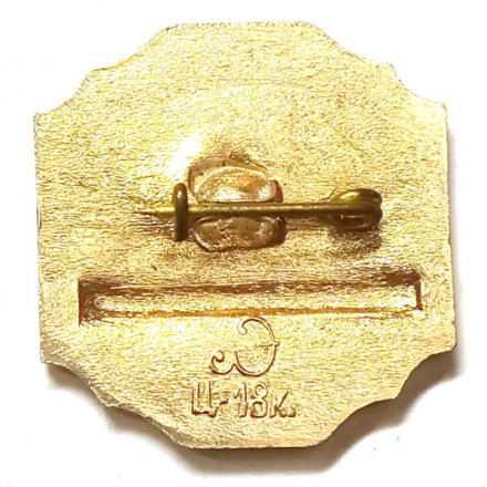 Значок Город Пушкин. Грот