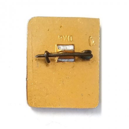 Значок 1 разряд. Шахматы