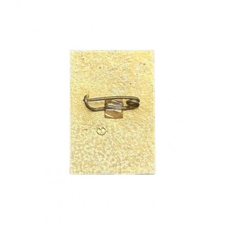 Значок УССР. Чернiгiвщина. Черниговщина. 50 лет