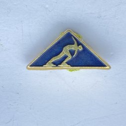 Значок. Коньки. Конькобежный спорт