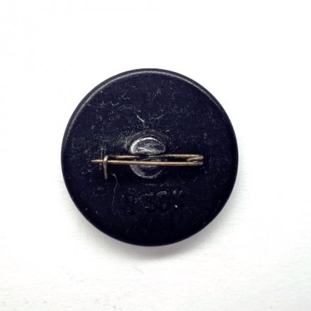 Значок. ФК Динамо 