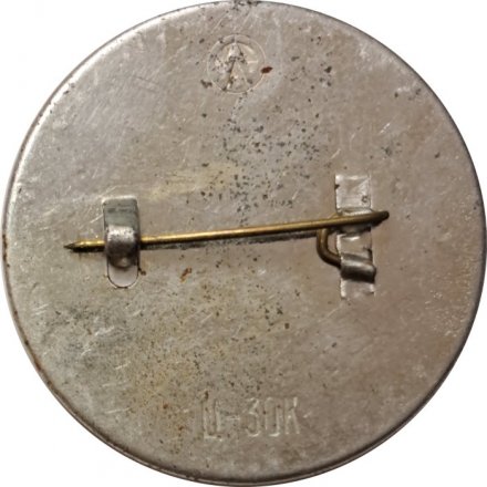 Значок Ворота Летнего сада