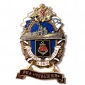 Знак За службу России в ВМФ. РКА &quot;Чувашия&quot; (малый орел)