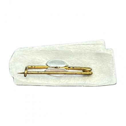 Значок НВЛ. Ленинград