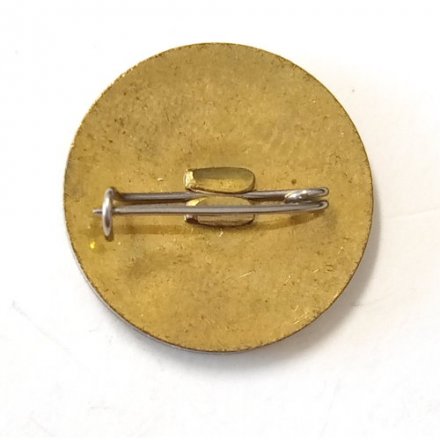 Значок АО Иртыш ГЭС Строй. Казахстан, тяжелый