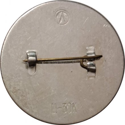 Значок Павильон К. Росси в Михайловском саду