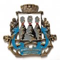 Знак Петропавловск-Камчатский. Герб, тяжелый